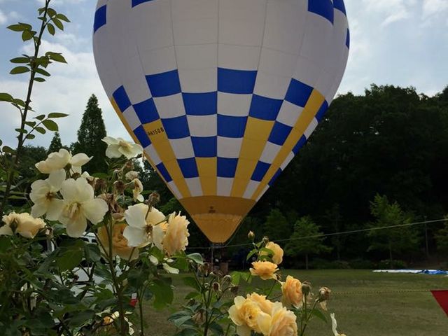花フェスタ記念公園バラまつり_HEAT BALLOON物語