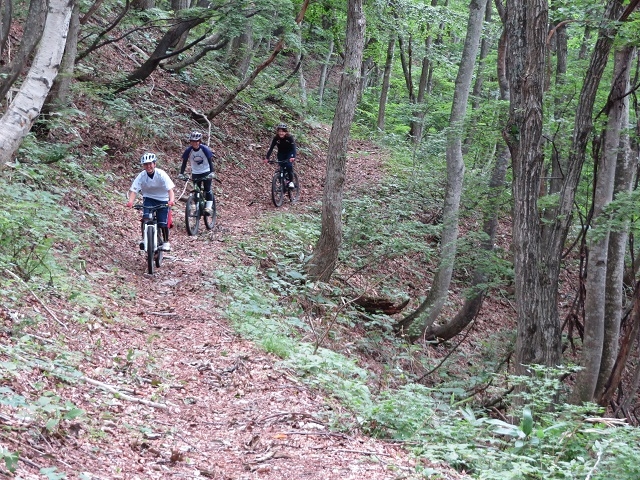 MTB JAPAN