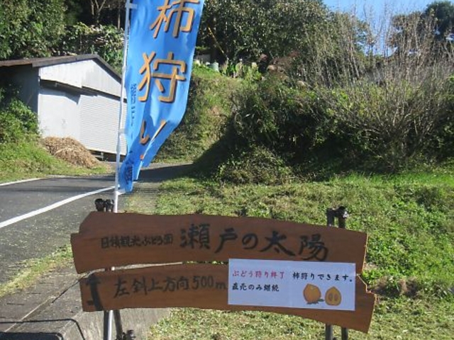 27.10.5ぶどう狩りののぼり旗を柿狩りののぼり旗に交換しました。_日積観光ぶどう園 瀬戸の太陽