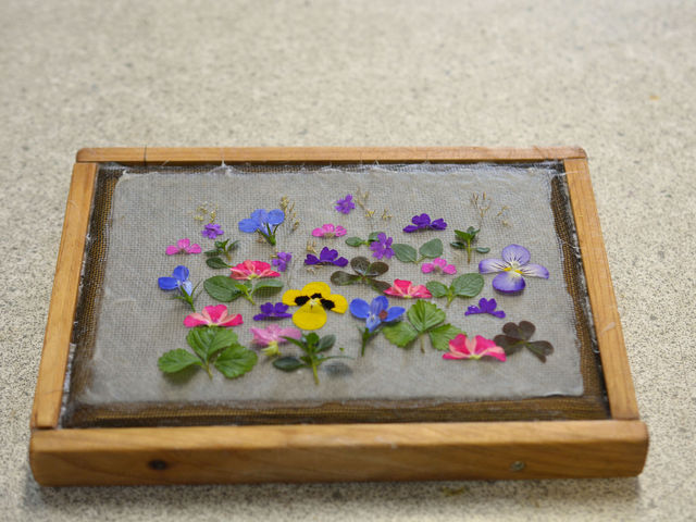 園内で摘んだ草花をアレンジ_風の工房