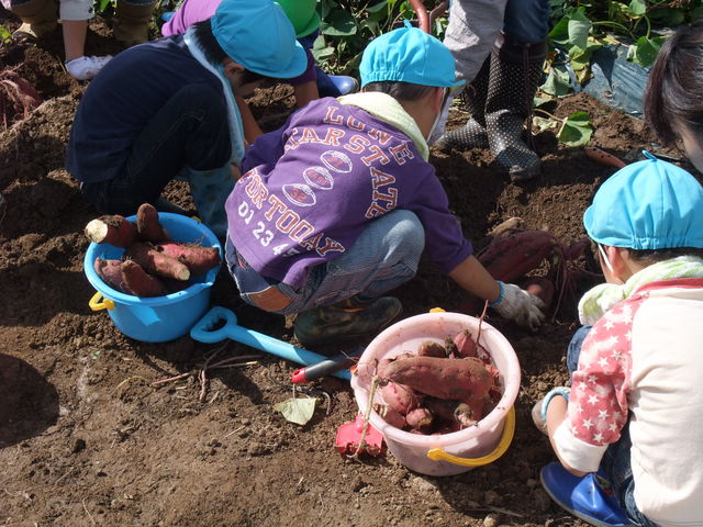 パル観光果樹農園