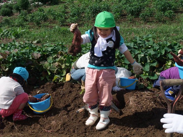パル観光果樹農園