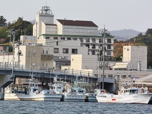 たくさんの漁船、どんな漁をするのだろう!_遊覧船(隠岐旅工舎)