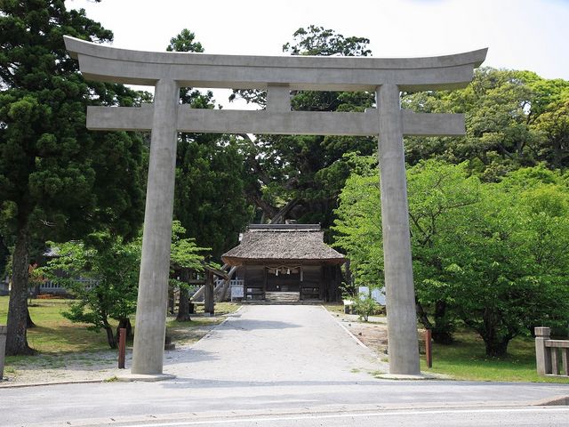 玉若酢命神社と八百杉_ジオバスツアー(隠岐旅工舎)