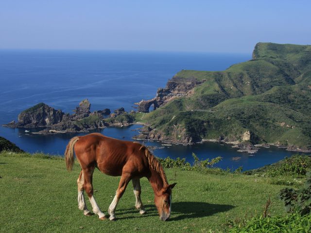 赤尾展望所より。国賀海岸の全景が見る事ができます。_西ノ島町観光協会(レンタサイクル)