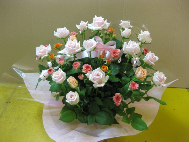BELLA ROSA(ベッラローザ)