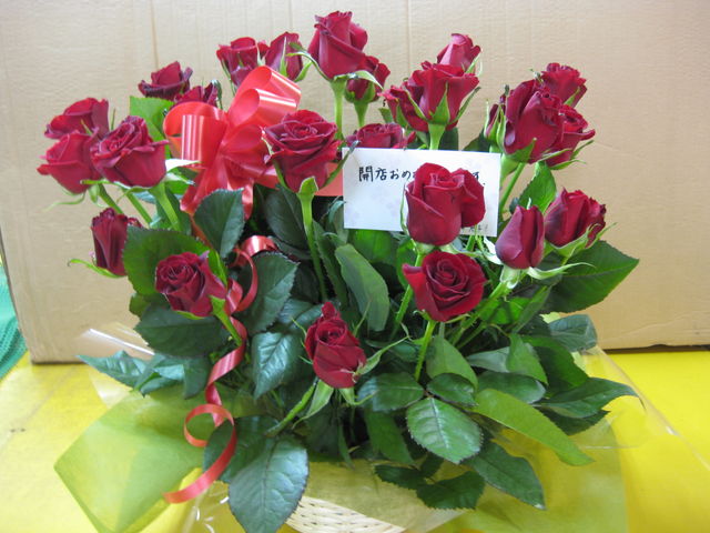 BELLA ROSA(ベッラローザ)