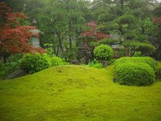 お部屋から日本庭園が眺めます_木津館
