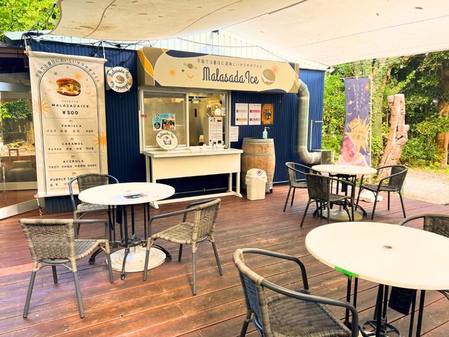 カフェアンテナ_備瀬のあそびば