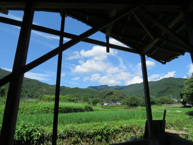 夏空_筑前秋月和紙処