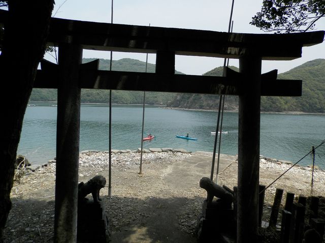 対馬エコツアー(シーカヤックガイド)