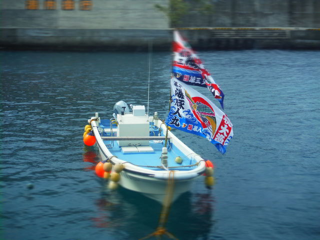 海豚人丸でご案内します。_海豚人丸(うみとんちゅまる)
