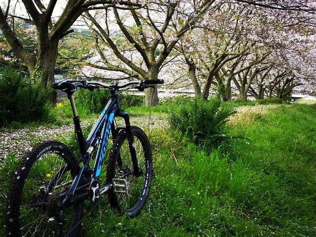 IZU ADVENTURE FACTORY