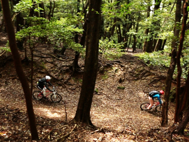 IZU ADVENTURE FACTORY