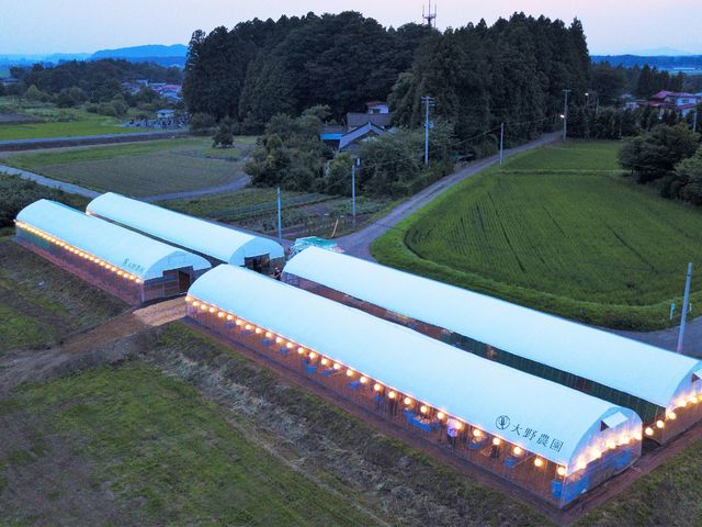大野農園