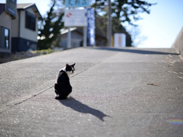 時間を忘れるくらいのんびり過ごせます。_井田ダイビングセンター