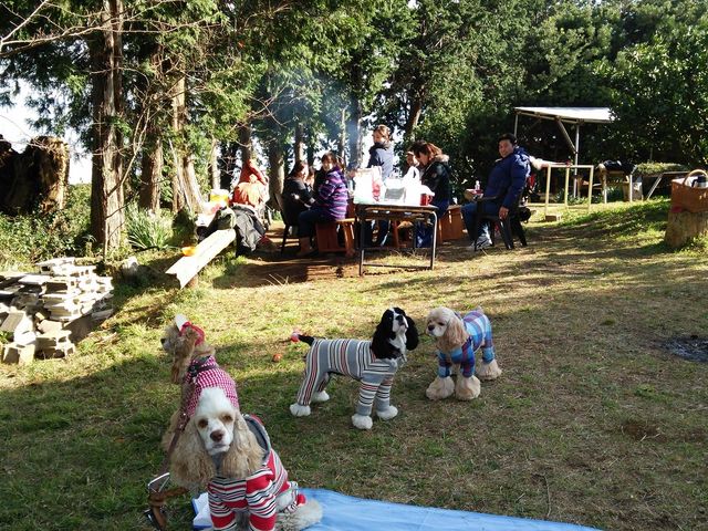 ワンちゃんも一緒に!_松本農園