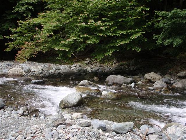 階段状に続く、落差のある流れ込みポイント_Y.G.L.自然生活創造連盟
