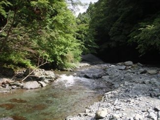 エリアは全長約1km。タイプの異なるさまざまな流れがあります。_Y.G.L.自然生活創造連盟