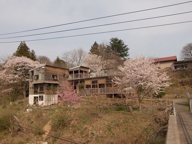 工房の春 暖かい日にはデッキで花見もできます。_早池峰焼 星工房