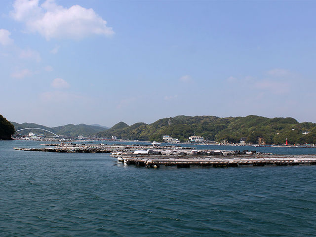 波静かな生浦湾をクルージング _釣り船はっかい