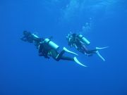 DIVERS' Space Marine Blue(マリンブルー)の写真2