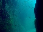 ダイビングショップFUNの写真3