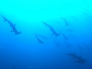 クラブノア すさみの写真4