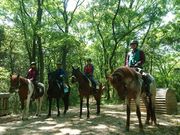 MIKIホーストレックの写真3