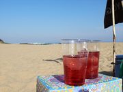 一般社団法人京丹後市観光協会の写真3