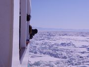 網走流氷観光砕氷船おーろらの写真2