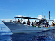 sea-Walkerの写真2