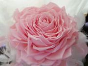nonokaフラワーデザインスクール天神校の写真2