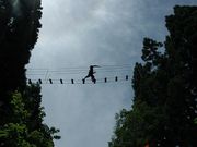 フォレストアドベンチャー・湯沢中里の写真2