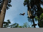 フォレストアドベンチャー・湯沢中里の写真3