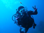 ドルフィンリングダイビングスクールの写真2