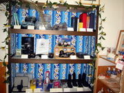 レインボーダイビングの写真3