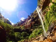 西表島サニーデイの写真2