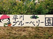 平川ブルーベリー園の写真3