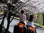 阿蘇ハイランド乗馬クラブの写真3