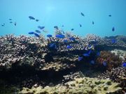 やったろうde高島の写真3