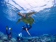 ディーズパルス沖縄の写真3