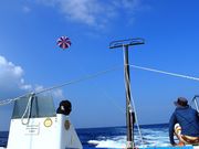 MarinChuの写真4