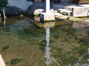 はこね宮城野国際ます釣場の写真3