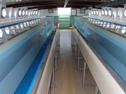 グラスボートの写真2