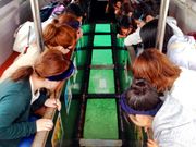 川平マリンサービスの写真3