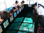 川平マリンサービスの写真2