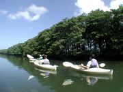 クロスリバーの写真3