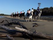 四街道グリーンヒル乗馬クラブの写真4