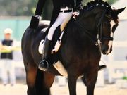 四街道グリーンヒル乗馬クラブの写真2